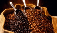 Giá cà phê nguyên liệu tăng, hai ông lớn Starbucks và Smucker hành động.