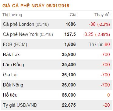 gia-nong-san-hom-nay-9-1-gia-ca-phe-rot-tham-gia-tieu-khong-doi