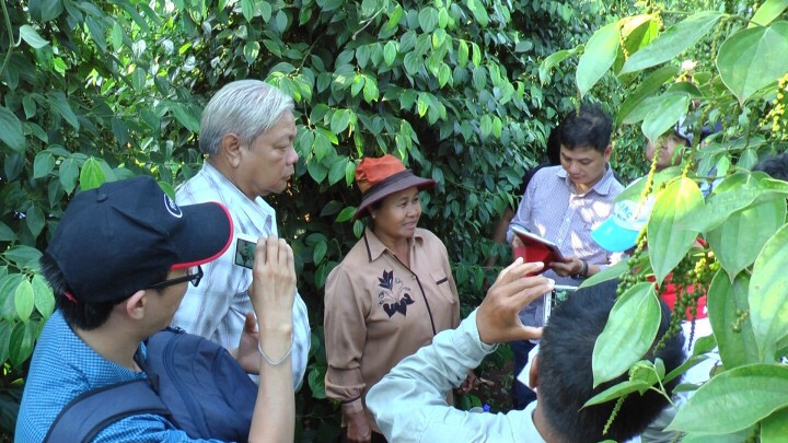 gia-nong-san-hom-nay-3-2-tieu-bat-ngo-tang-2-trieu-tan-ca-phe-giam-nhe